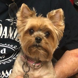 Meet your Posher, Catarina